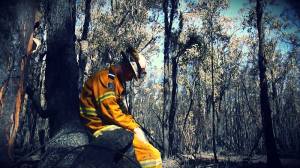 1385615_609772372418752_674508251_n