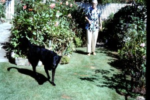 1977 Aunt Annie  +  Sammy