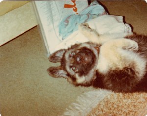 Sasha pat my tummy 3 mths