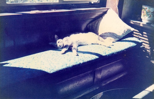 Kimberly at her new home