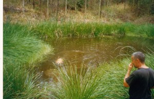 © irene waters 2013 Grace swimming