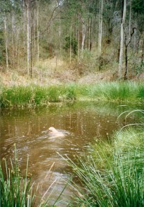 © irene waters 2013 Grace swimming