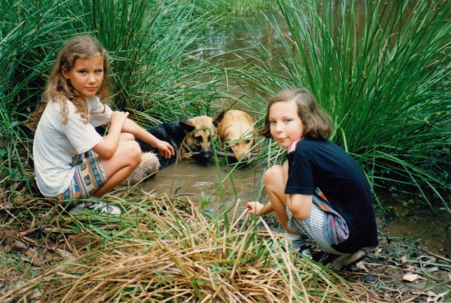 © irene waters 2013