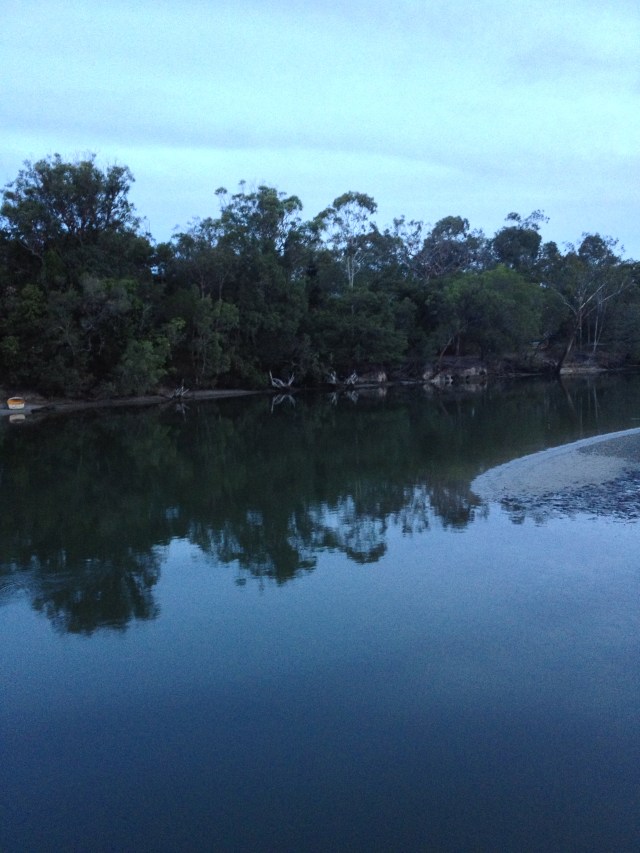 © irene waters 2013