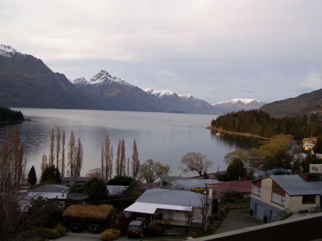 © irene waters 2014