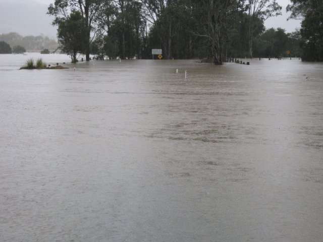 © irene waters 2014