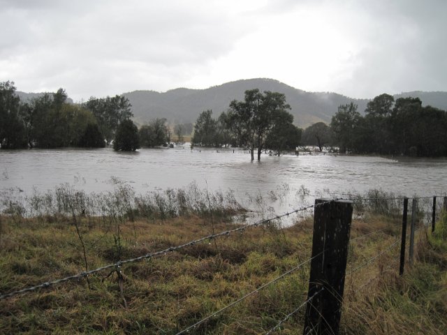 © irene waters 2014