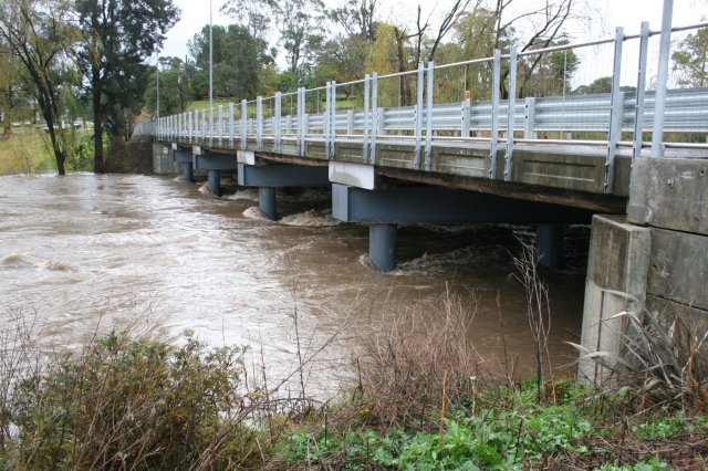 © irene waters 2014