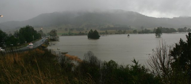 © irene waters 2014