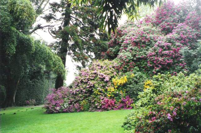 © irene waters 2014