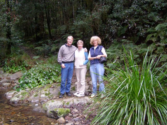 © irene waters 2014