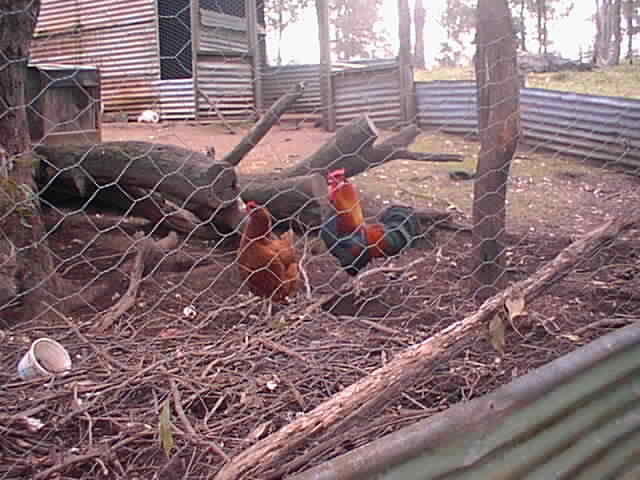 © irene waters 2014