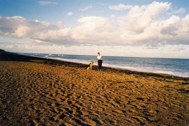 © irene waters 2014