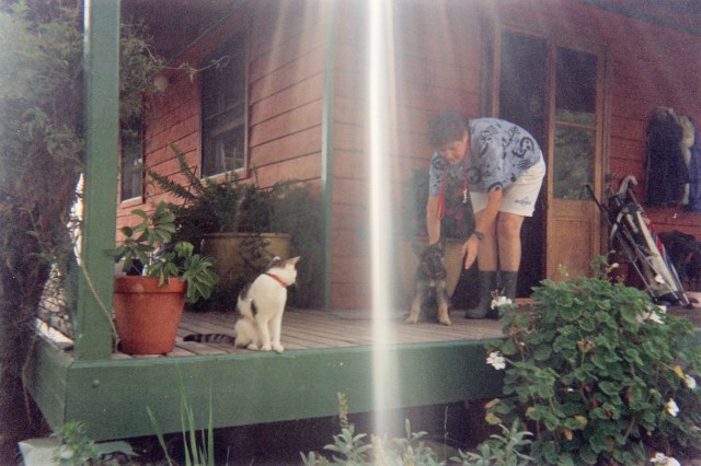 © irene waters 2014