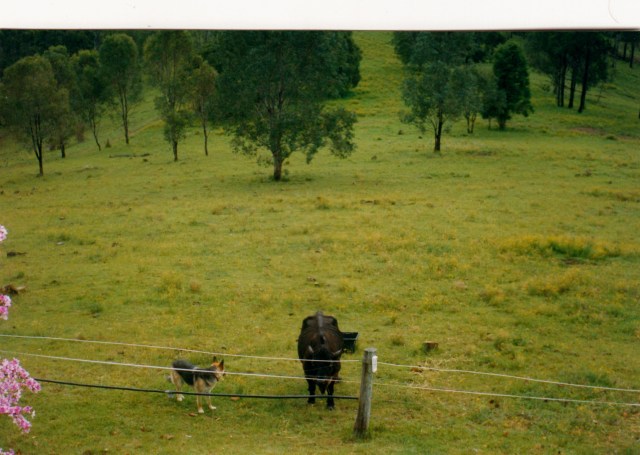 © irene waters 2014