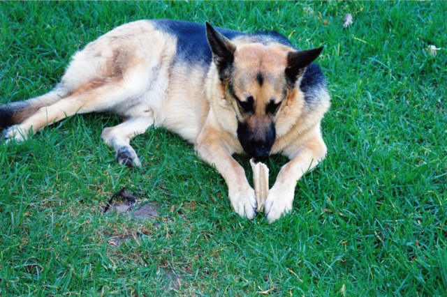 © irene waters 2014