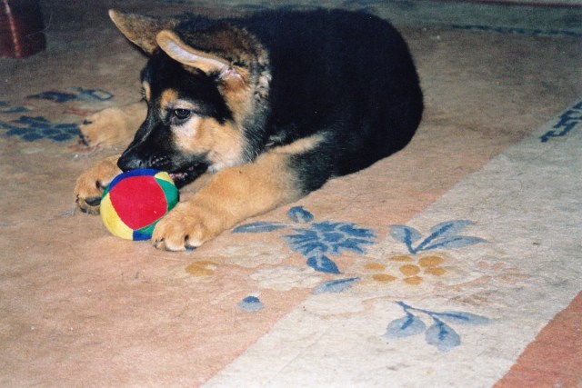 © irene waters 2014