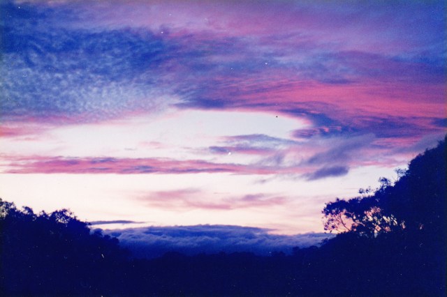 © irene waters 2014