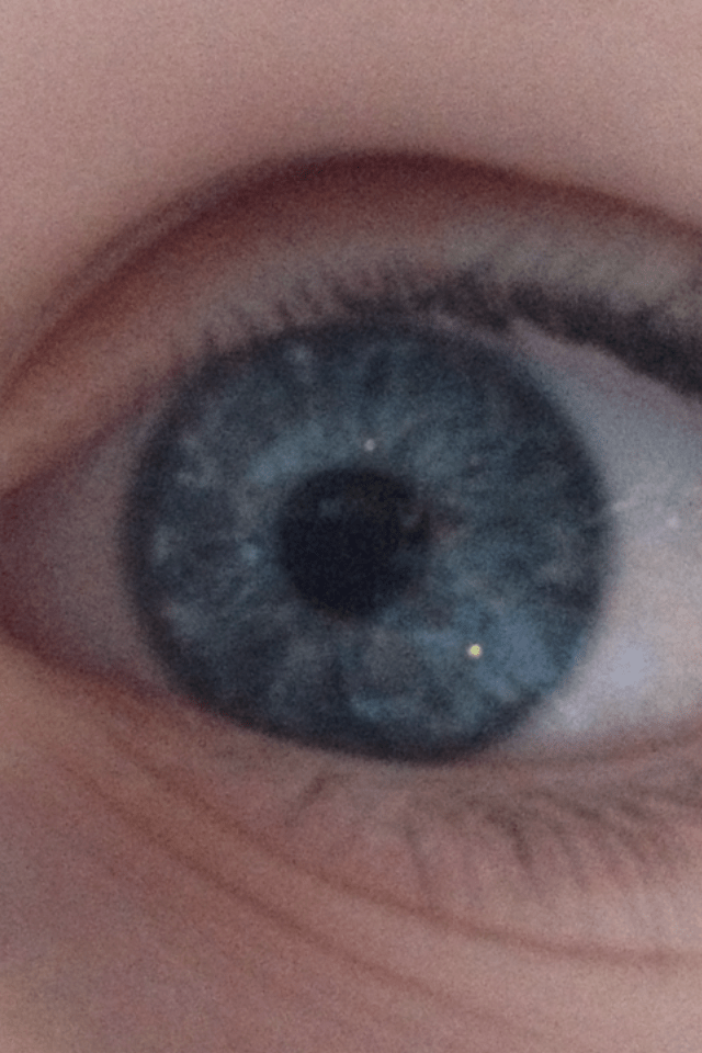 © irene waters 2014