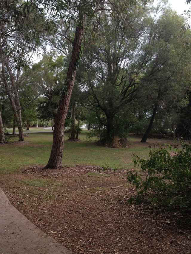 © irene waters 2014