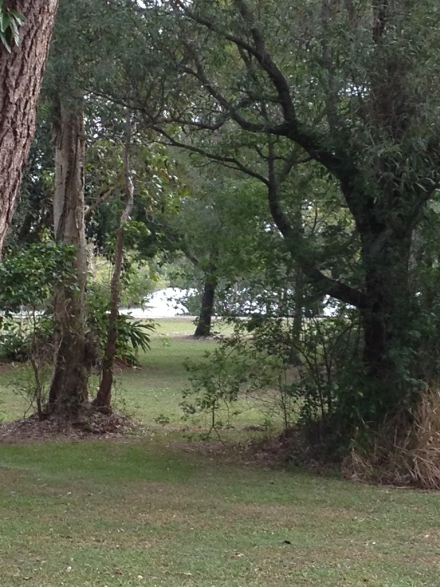 © irene waters 2014