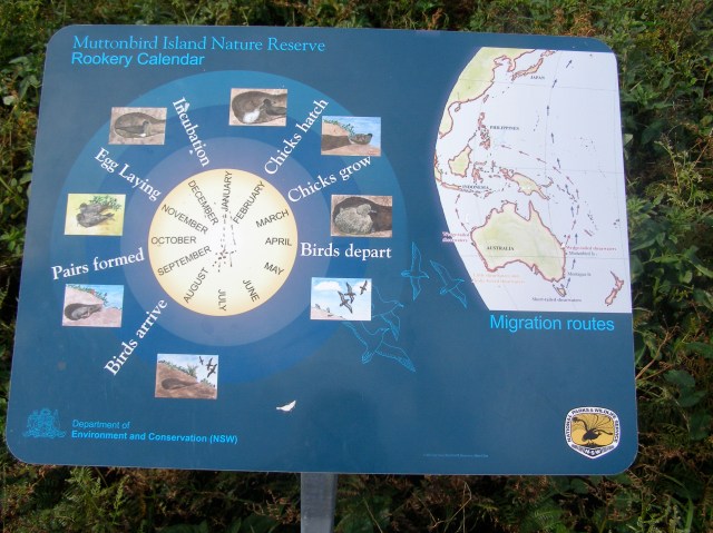 © irene waters 2014