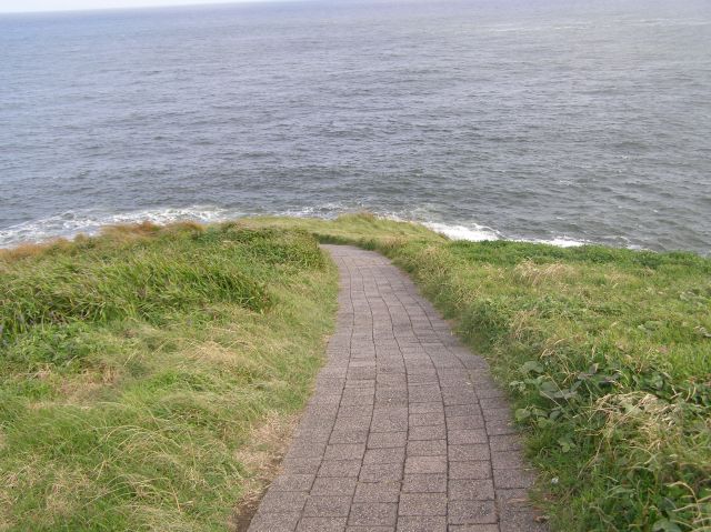 © irene waters 2014