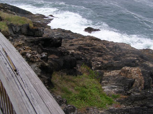 © irene waters 2014