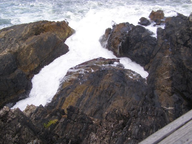 © irene waters 2014