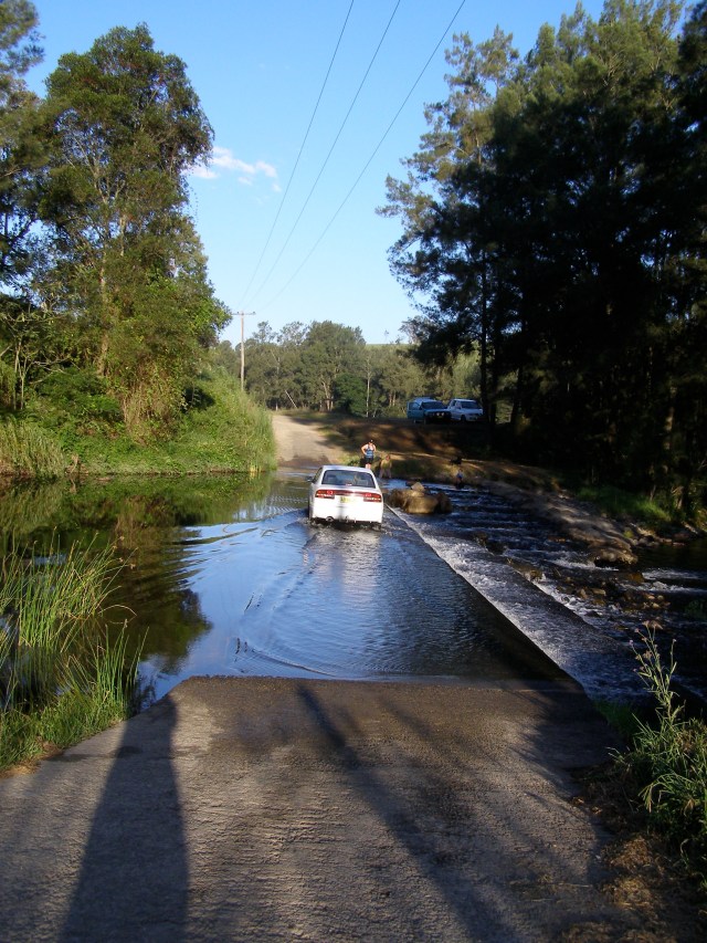 © irene waters 2014