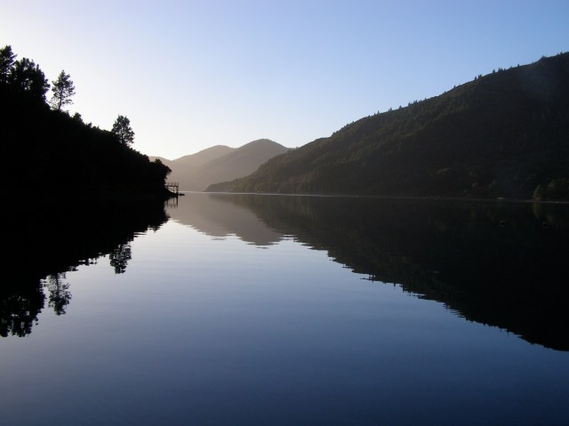 © irene waters 2014