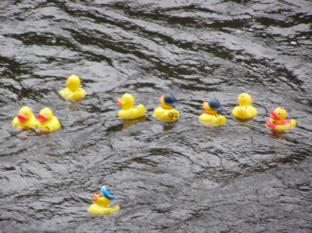 © irene waters 2014