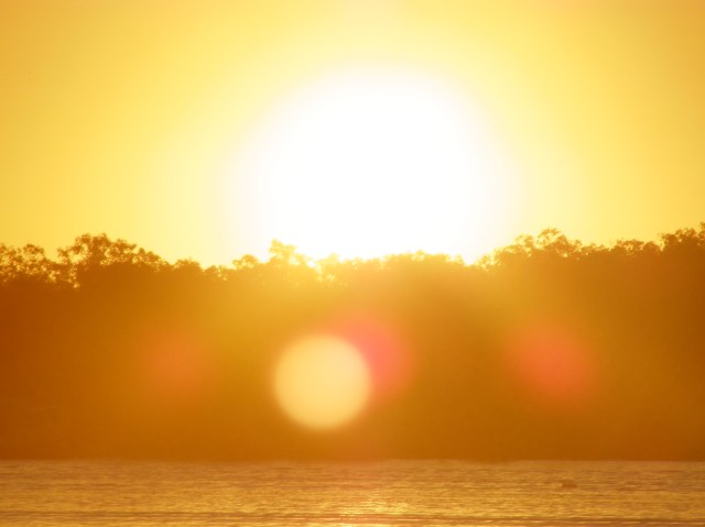 © irene waters 2014