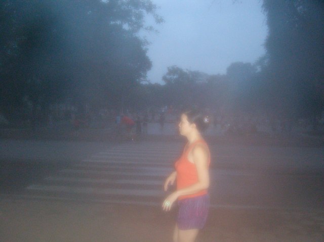 © irene waters 2014