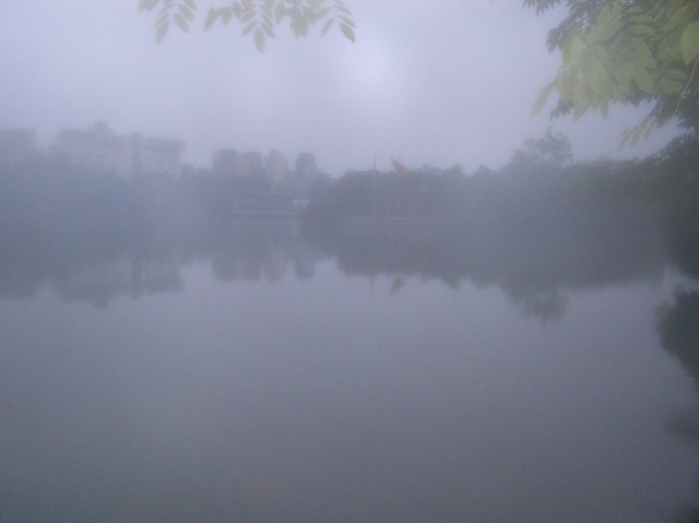 © irene waters 2014