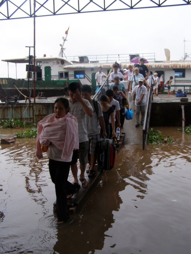 © irene waters 2014