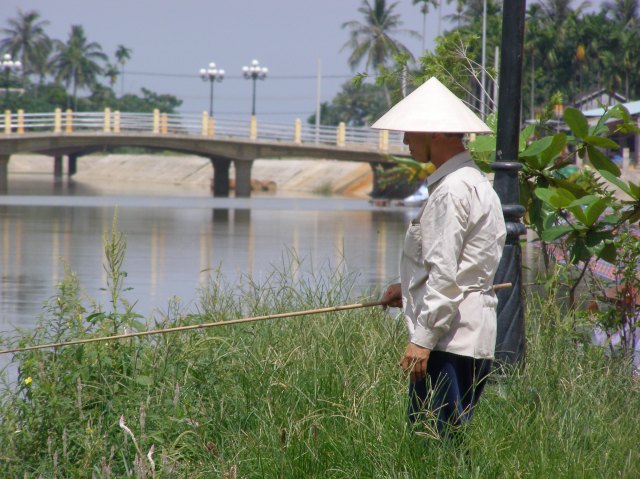 © irene waters 2014