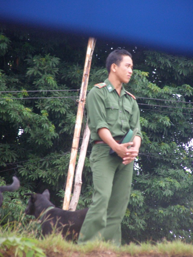 © irene waters 2014