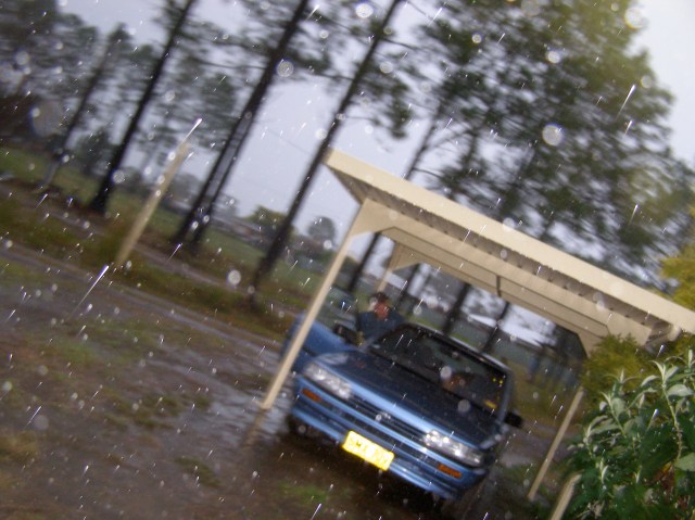 © irene waters 2014