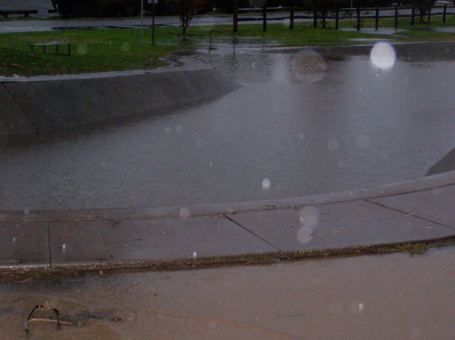 © irene waters 2014