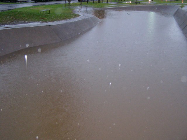 © irene waters 2014