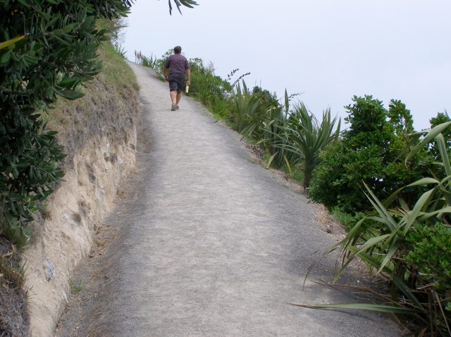 © irene waters 2014