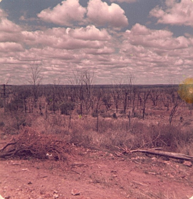 © irene waters 2014