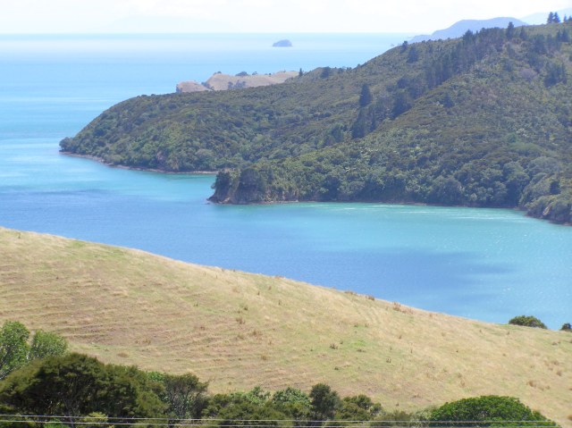 © irene waters 2014