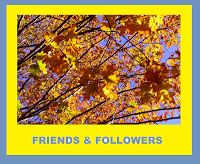 friends-followers-award-1