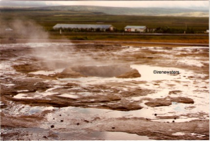 © irene waters 2014