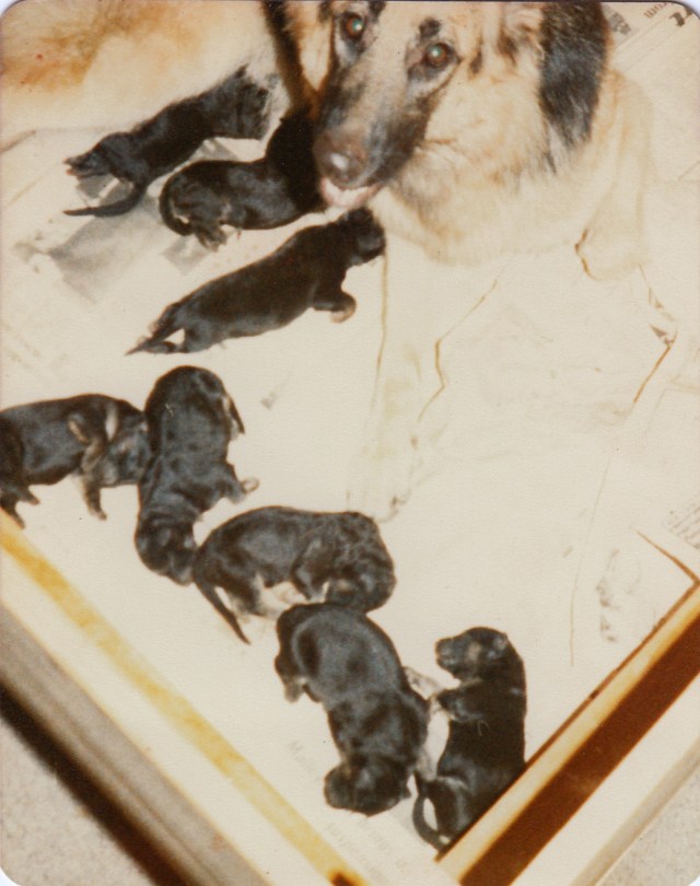 © irene waters 2014