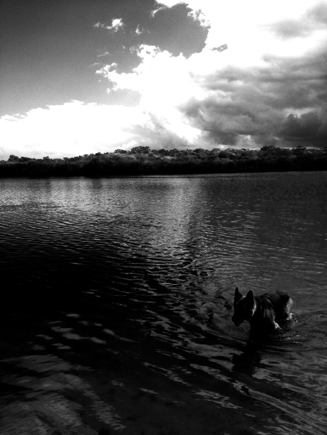 © irene waters 2014