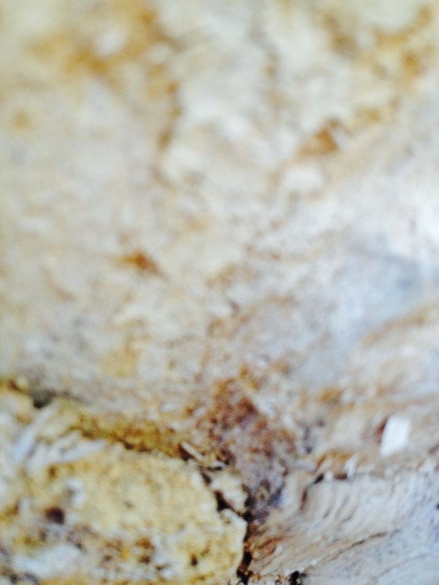 © irene waters 2014