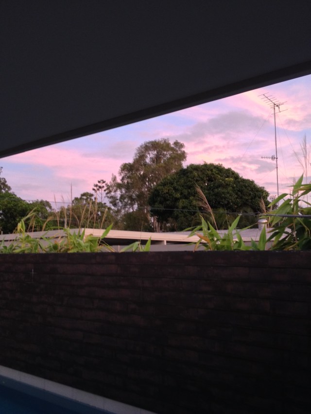 © irene waters 2014